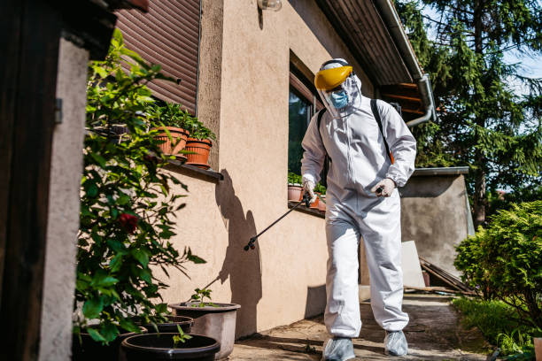 Best Rat Extermination Near Me  in Watertown, NY