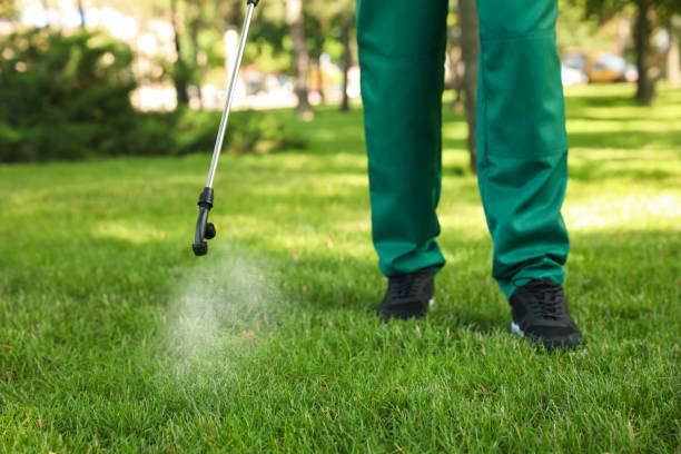 Best Wasp Removal Services  in Watertown, NY