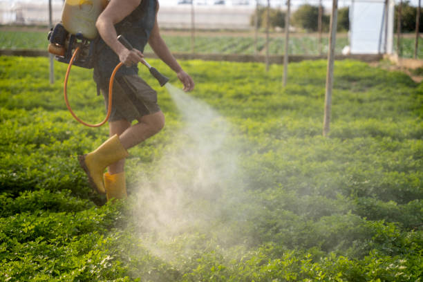 Best Pest Control for Homes  in Watertown, NY
