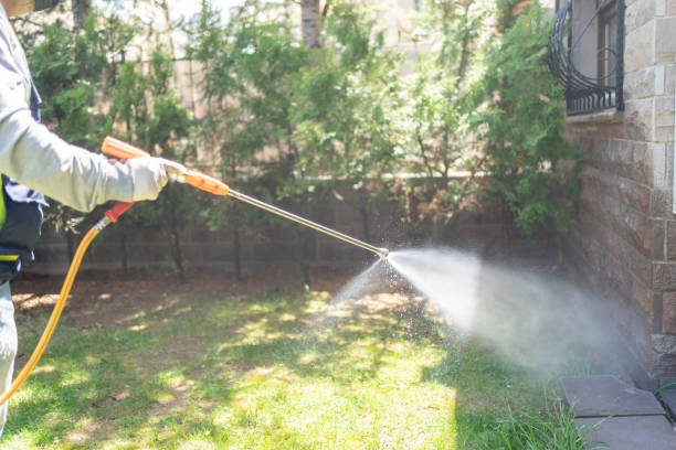 Trusted Watertown, NY Pest Control Experts