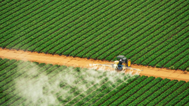 Best Ant Control Services  in Watertown, NY