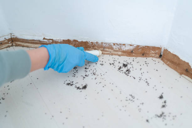 Best Residential Pest Control  in Watertown, NY